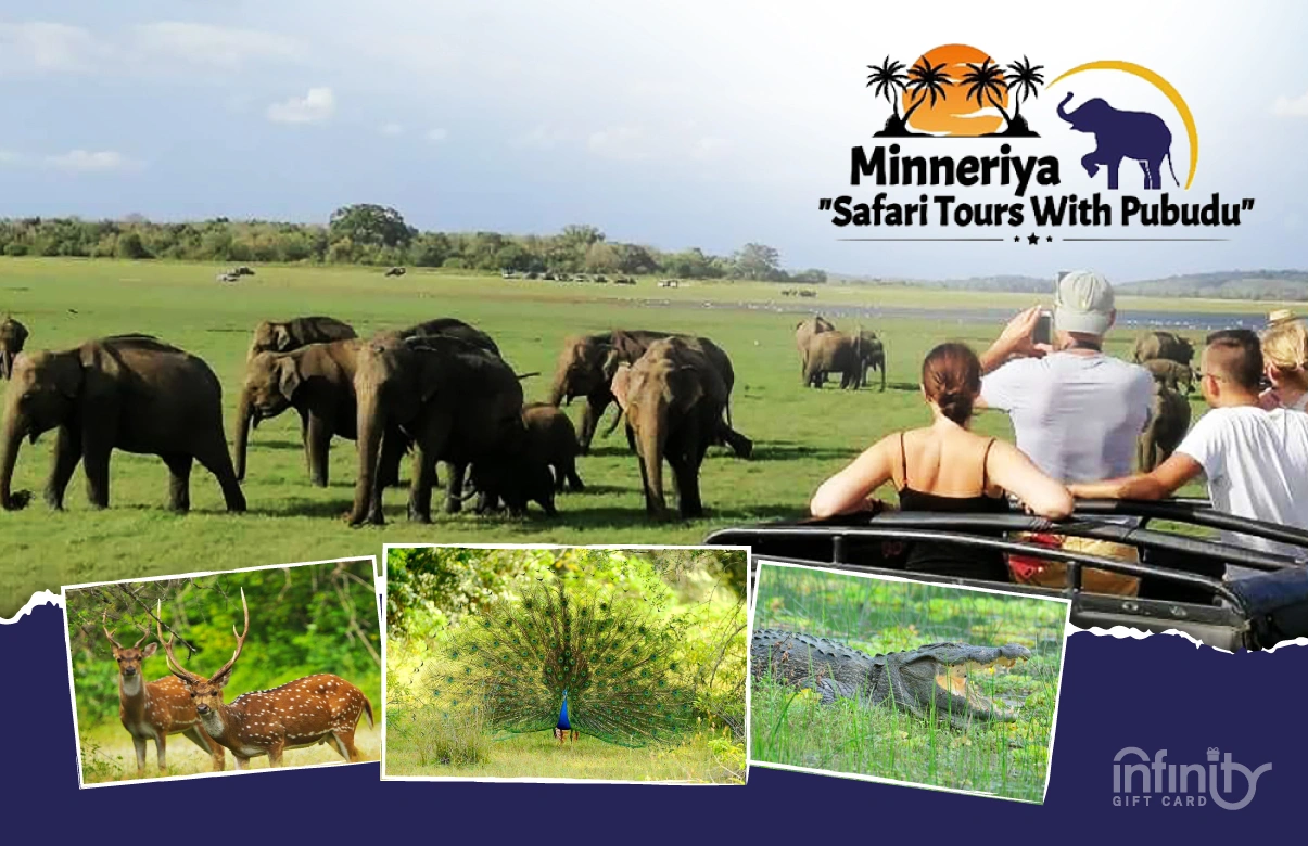 Minneriya Safari Tours with Pubudu 