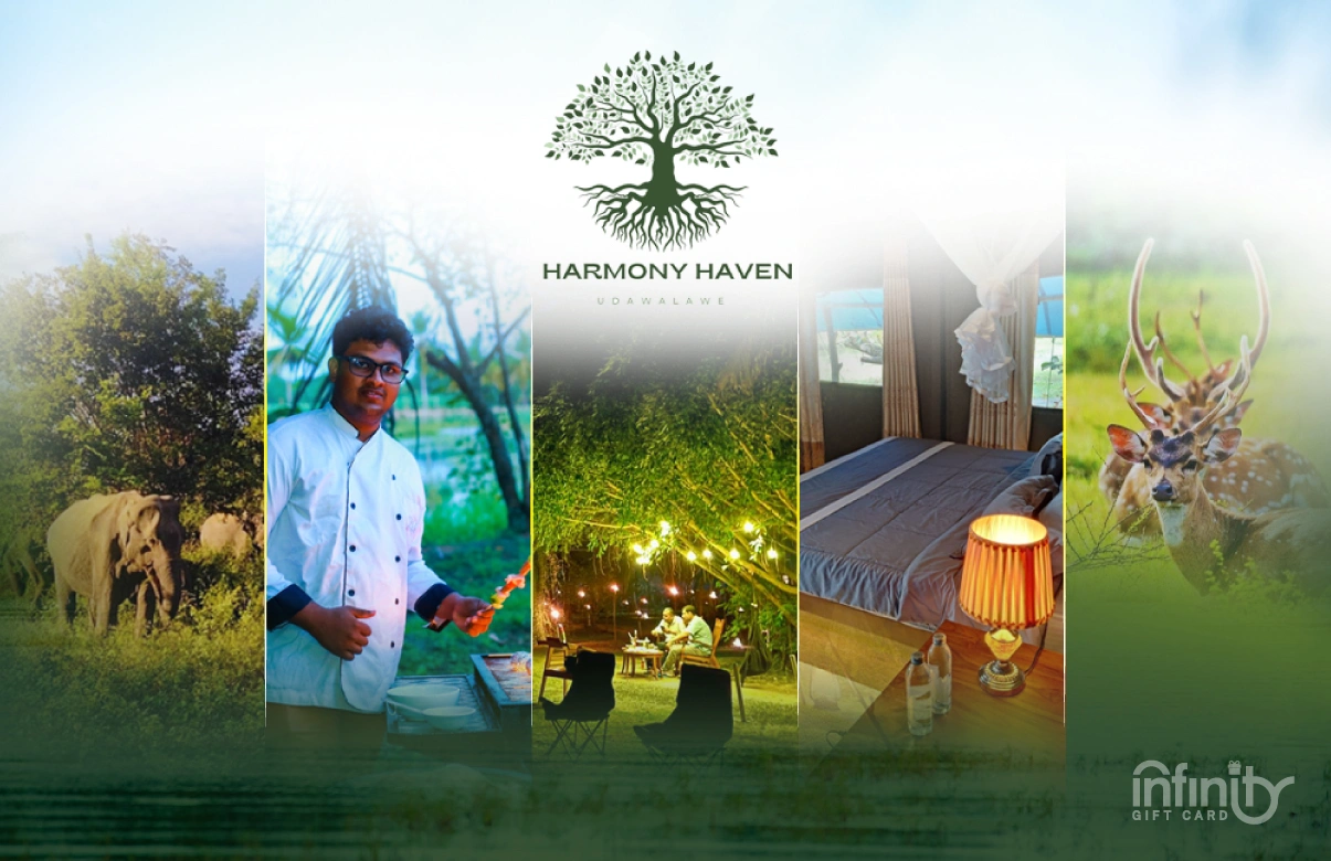 Harmony Haven